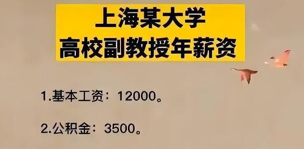 985高校教授年收入曝出，引发网友热议：单单公积金就高过我工资