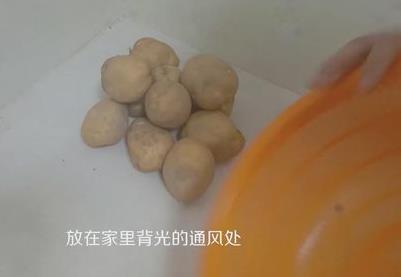 土豆发芽了还能吃吗？刚发芽的土豆可以吃吗