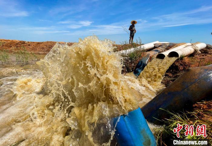 江西省九江市都昌县周溪镇枭阳10号附坝，抽水泵在鄱阳湖取水，经过三级提灌，为坝内五千亩稻田灌溉保苗。 傅建斌 摄