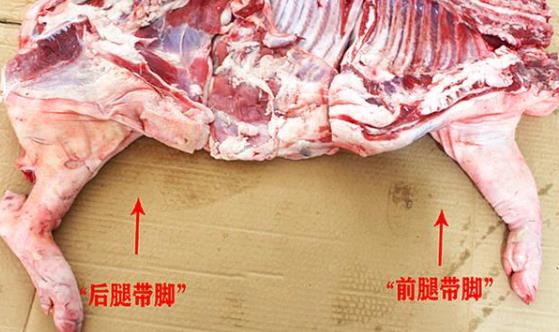 教你区分猪肉前腿肉和后腿肉图片 不同位置口感不一样别买错了